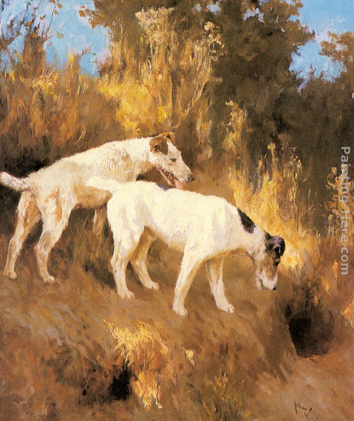 Terriers On The Scent painting - Arthur Wardle Terriers On The Scent art painting
